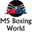 msworldboxing.com