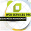 webservicespro.wordpress.com