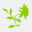 hdvr.org
