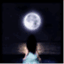 tinymoongirl.wordpress.com