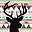 littlestagstudio.com