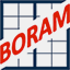 boram.pl
