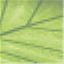 rationalfuture.wordpress.com