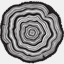 rollingtree.net