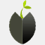 split-seed.com