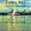 binarybits.bandcamp.com