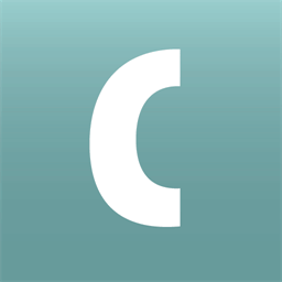 ci-consulting.de