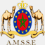mvsse.com