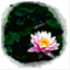 thebuddinglotus.wordpress.com
