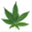 dispensary.mmad.ca
