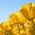 goinggoinggoinggreen.wordpress.com