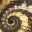fractalontology.wordpress.com