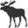 goosedmoose.com