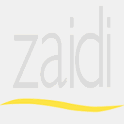 zaidi.es