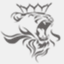 negargraphicshiraz.com