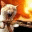 hambydammit.wordpress.com