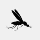 mosquitosteve.com