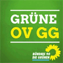gruene-gross-gerau.de