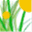 yangsenlin.com