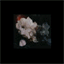 seabirds.bandcamp.com