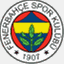 fenerbahceanket.com