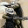 trollfox.wordpress.com