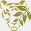 mnzoo.org
