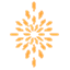 coralbloom.com