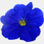 bluetwig.co.uk