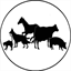 gcvetservices.com