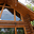 guildlogandtimber.com