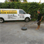 mauiprocarpetcleaning.com