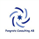 pongratzconsulting.com