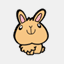 rabbit-wish.com