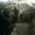 beaglechase.wordpress.com