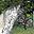 knabstrupper.co.uk