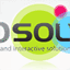 evosolv.com
