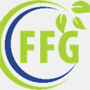 ffgsconsulting.com