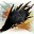 dragonize.wordpress.com