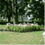 orchidsweb.wordpress.com