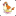 pidgey.be
