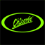 chinasanling.com