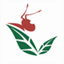 kienvuong.com