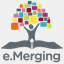 emergingconsulting.com