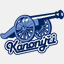 fermanyapi.com