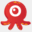 oquis.com