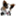 winedogs.wordpress.com