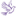 abcpfv.org