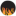 wsfps.com