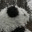loudpilloud.wordpress.com